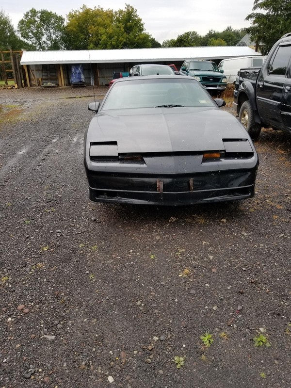 82 - 92 Pontiac Firebird Right Sill Scuff Plate Gray 20428958 Passenge