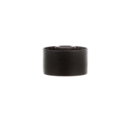 Dorman 419-090 Idler Pulley 2014-2015 Chevrolet Cruze - view 7