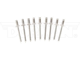 Dorman 961-032 Multi-Purpose Rivet