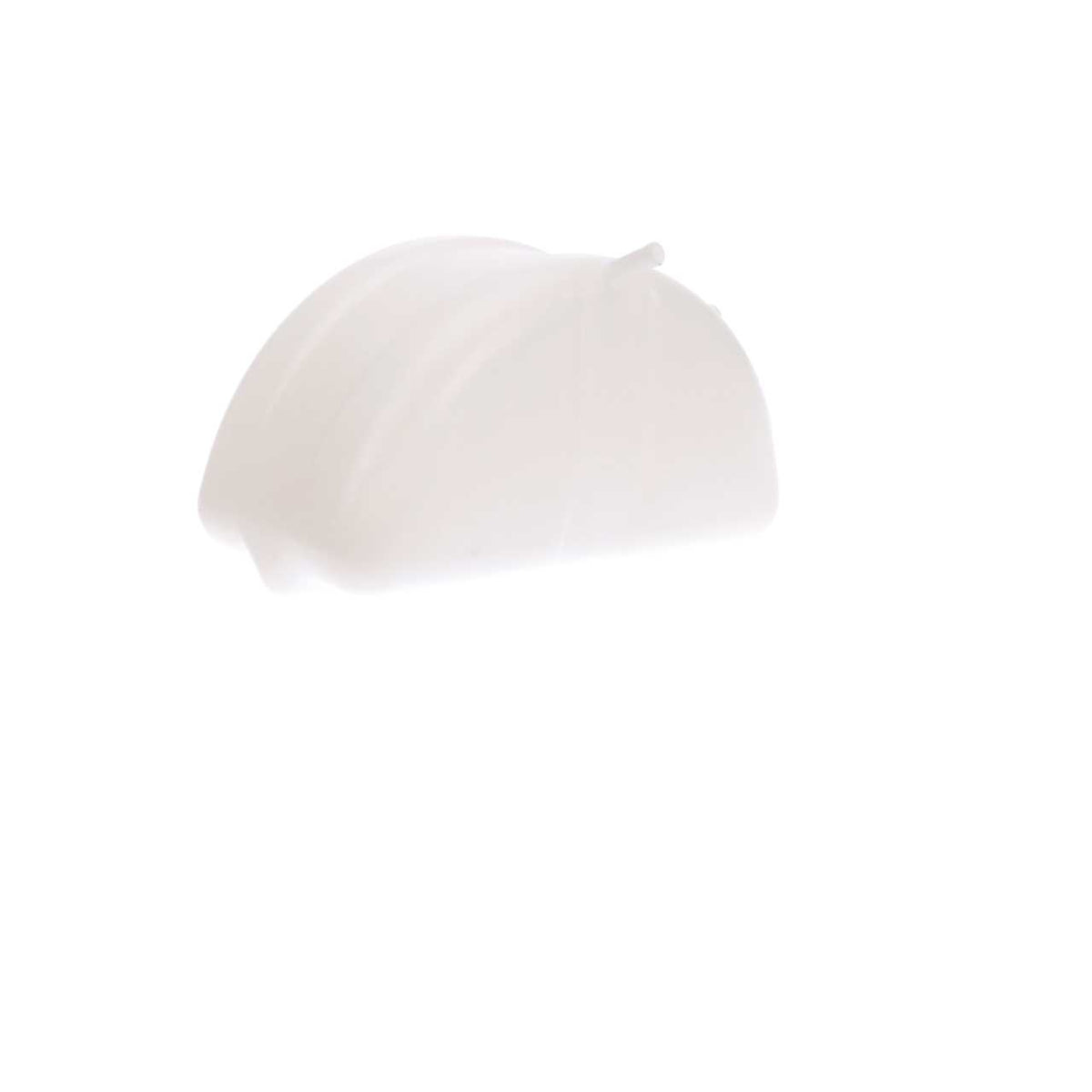 Dorman 603-5501 Coolant Reservoir 1996-2008 Mack CH - view 6