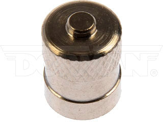 Dorman 609-131 Tire Pressure Monitoring System (TPMS) Valve Stem Cap