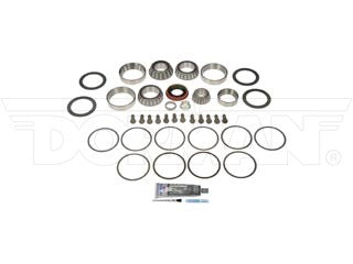 Dorman 697-032 Differential Bearing Kit