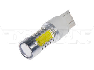 Dorman 7443W-HP Tail Light Bulb