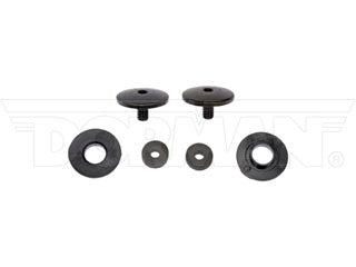 Dorman 74951 Liftgate Glass Hinge Screw