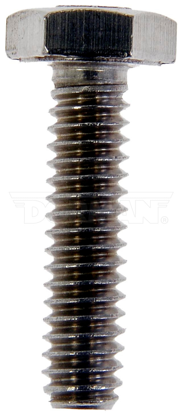Dorman 784-250D Hex Bolt Stainless - view 2