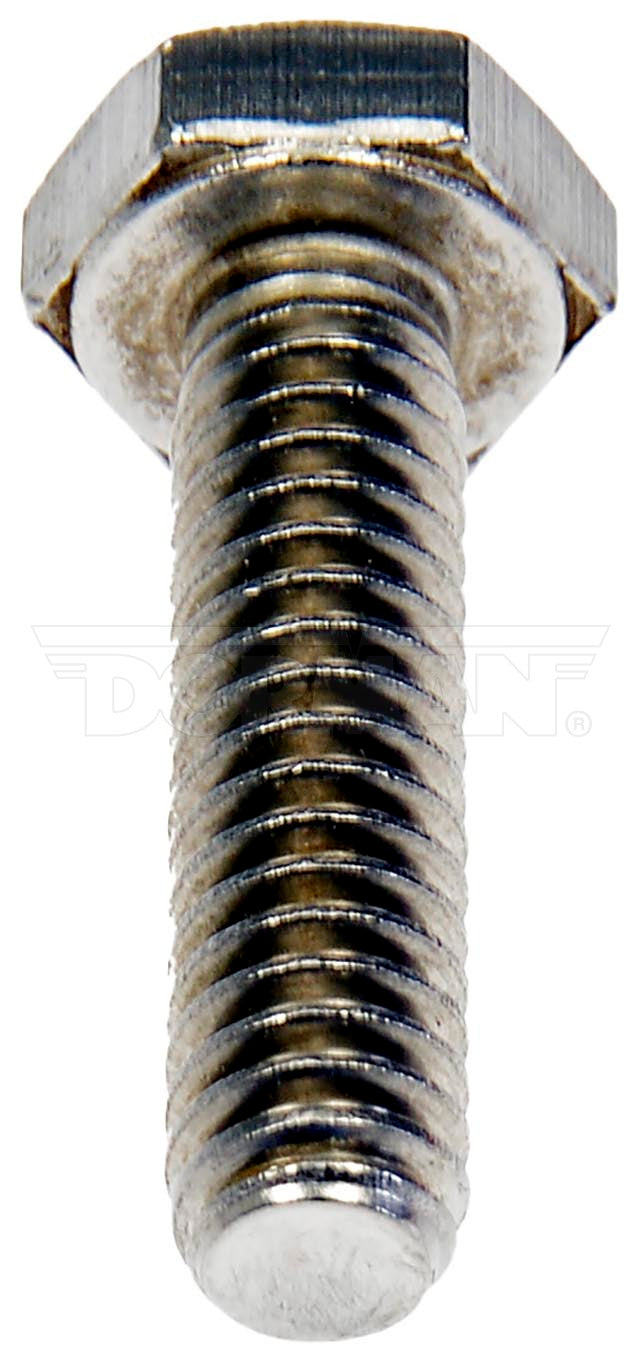 Dorman 784-250D Hex Bolt Stainless - view 3