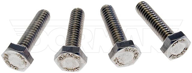Dorman 784-250D Hex Bolt Stainless - view 1