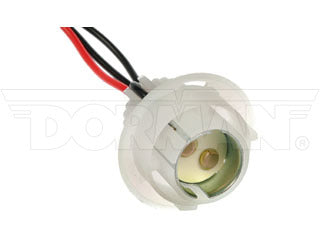 Dorman 84809 Socket - Multi-Purpose Light