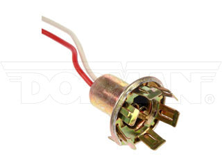 Dorman 85825 Socket - Multi-Purpose Light