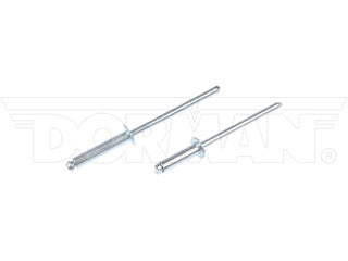 Dorman 961-020 Steel Rivet Assortment
