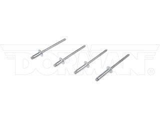 Dorman 961-025 Aluminum Rivet Assortment