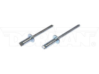 Dorman 961-035 Steel Rivet Assortment