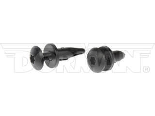 Dorman 961-040D Nylon Rivet Assortment