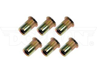 Dorman 963-250BX Rivet Nut